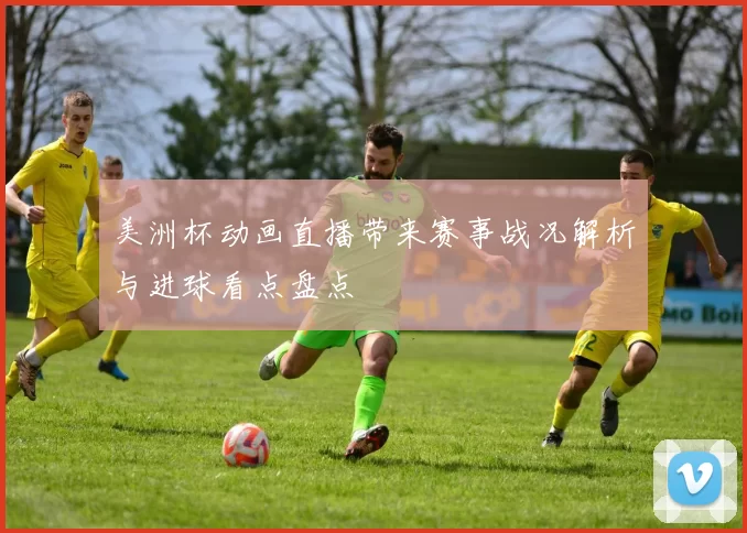 美洲杯动画直播带来赛事战况解析与进球看点盘点