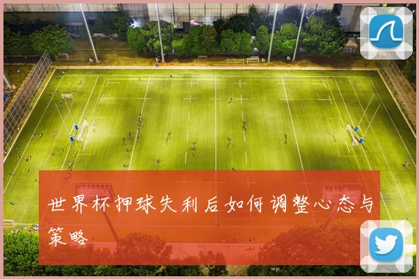 世界杯押球失利后如何调整心态与策略